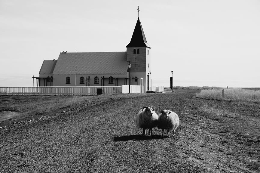 island agriculture and crofting