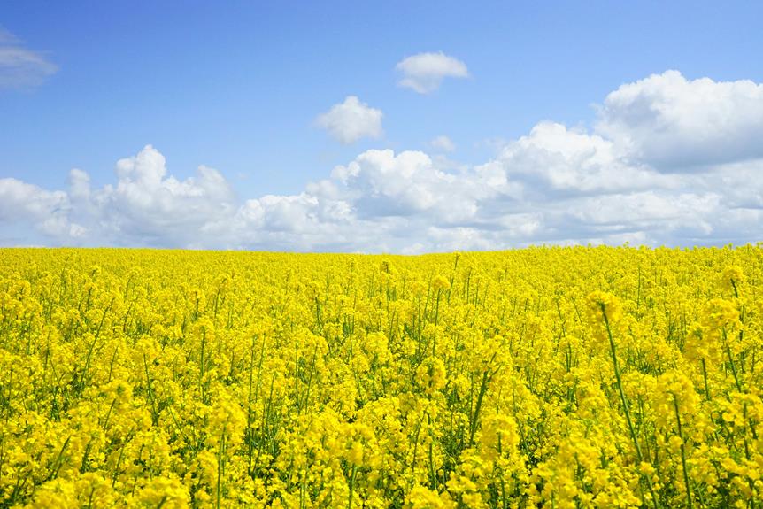 organic farming on islay