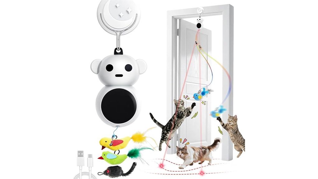 2 in 1 laser bird toy