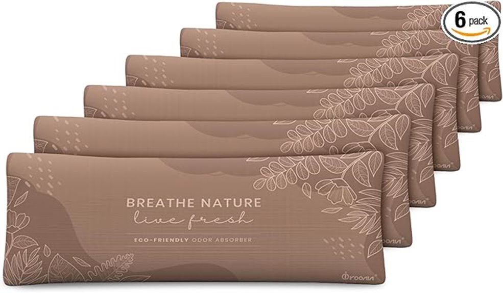 activated charcoal shoe deodorizer inserts