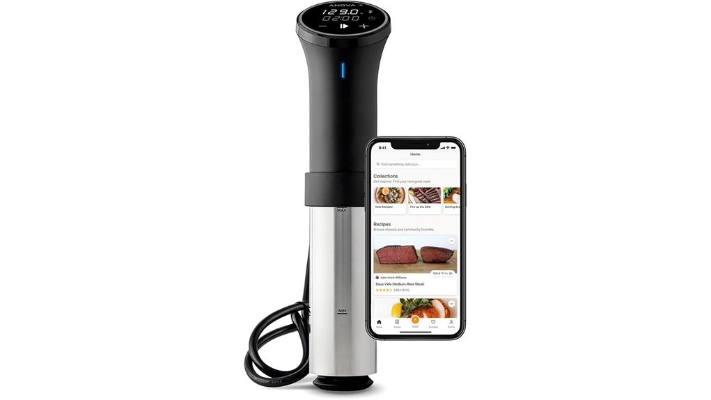 anova 1100w wifi sous vide
