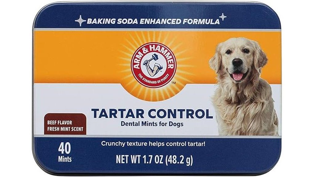 arm hammer dental mints