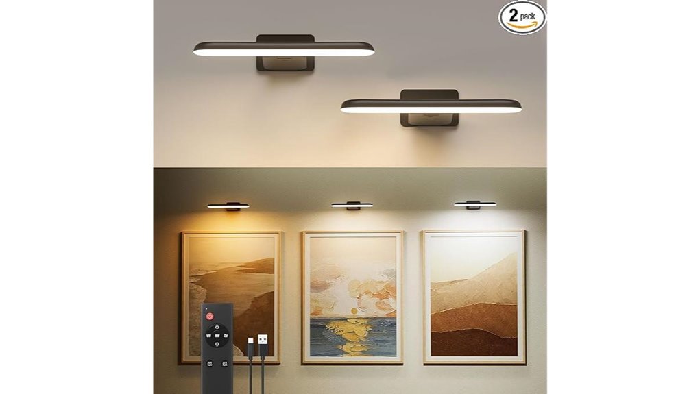 black rechargeable picture lights