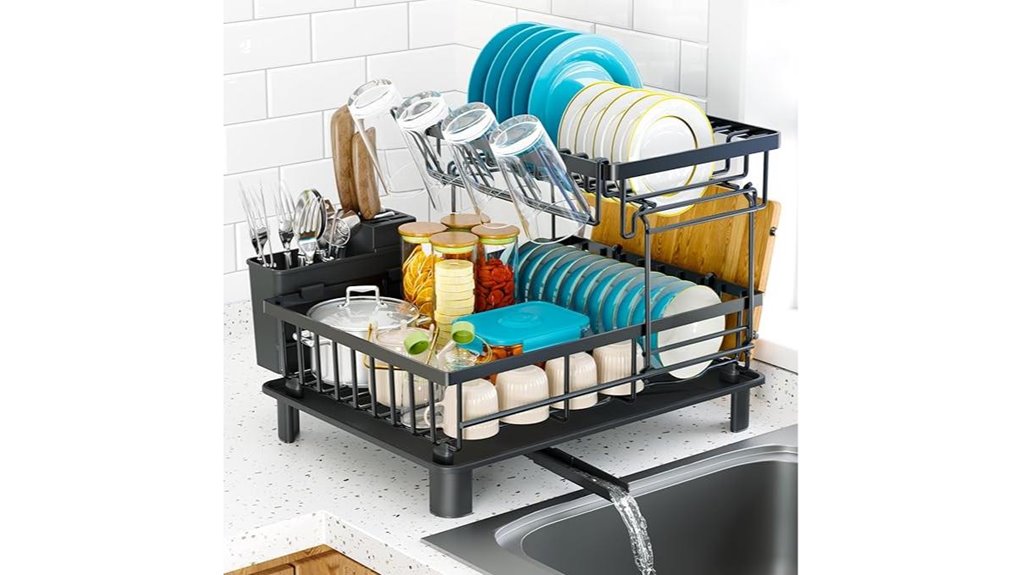 black two tier dish rack