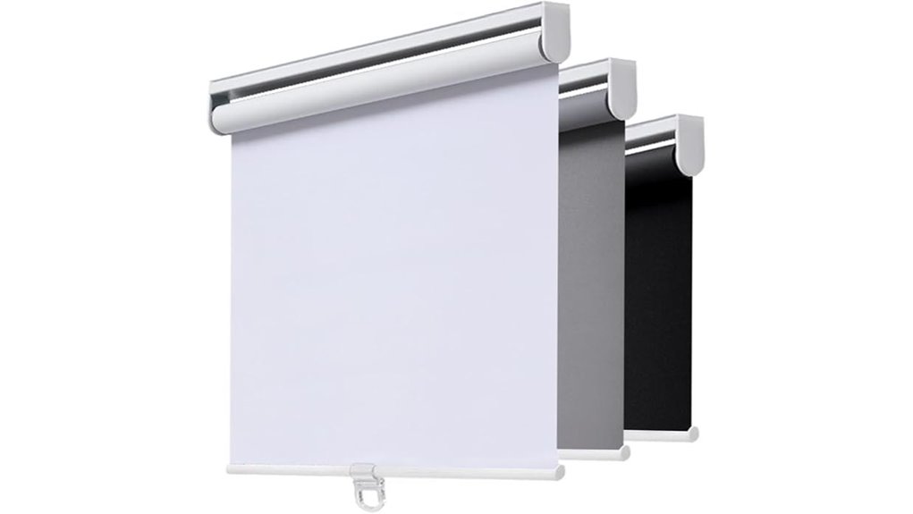 blackout cordless roller shade