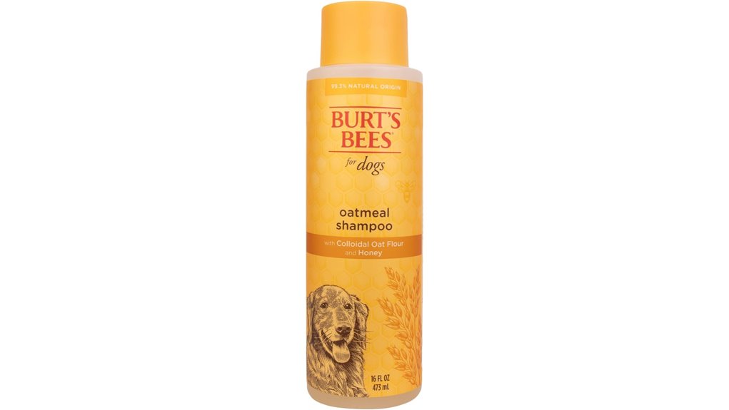 burt s bees oatmeal honey shampoo