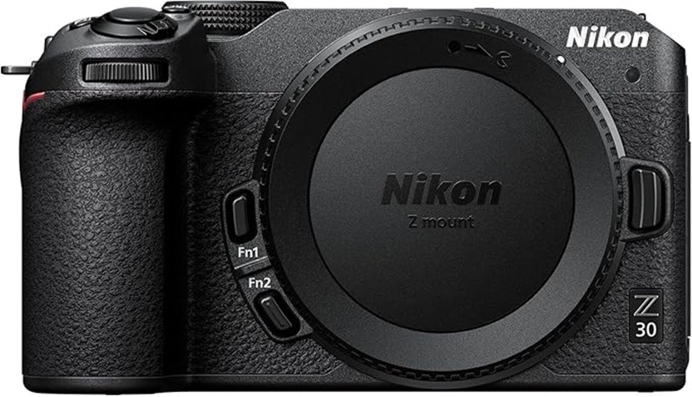compact lightweight mirrorless camera