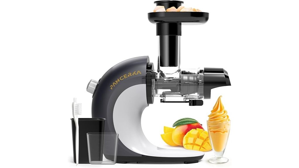 dairy free frozen fruit sorbet