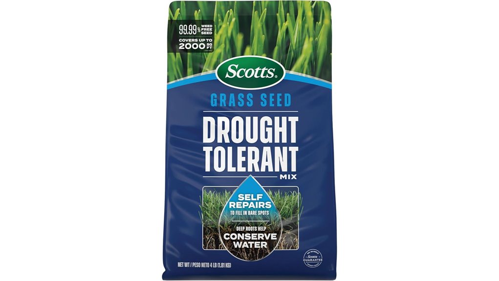 drought tolerant bluegrass fescue mix