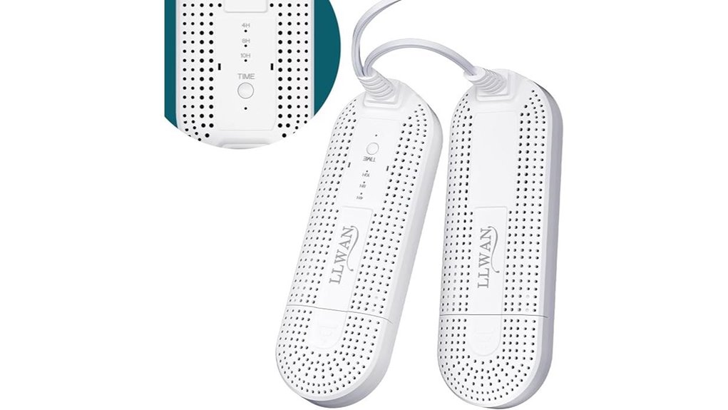 electric boot and shoe dryer