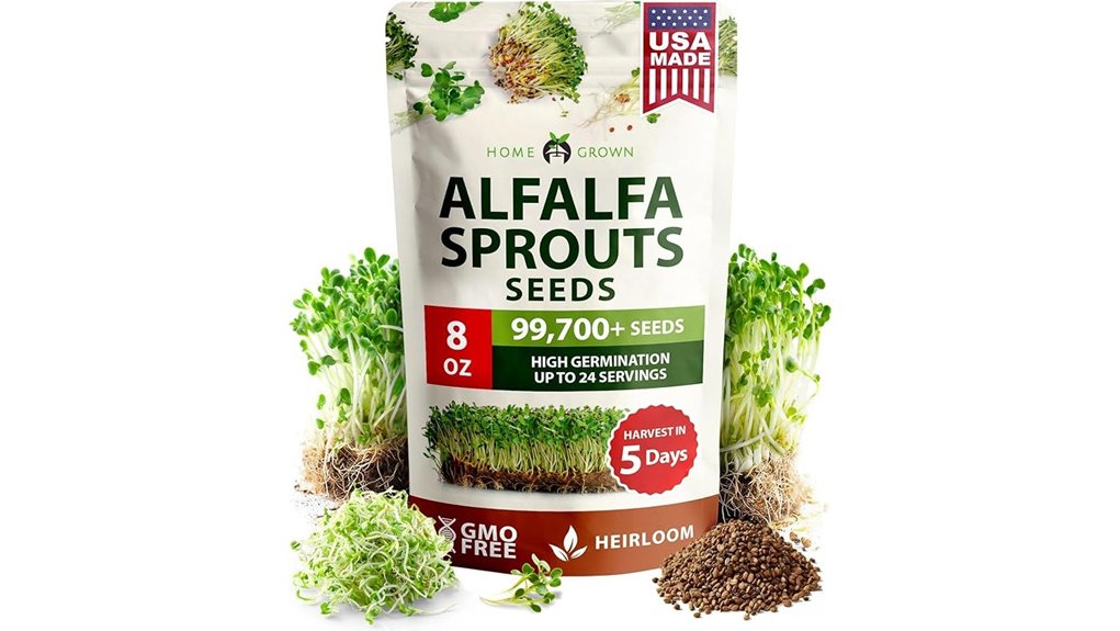 home grown alfalfa sprouting seeds