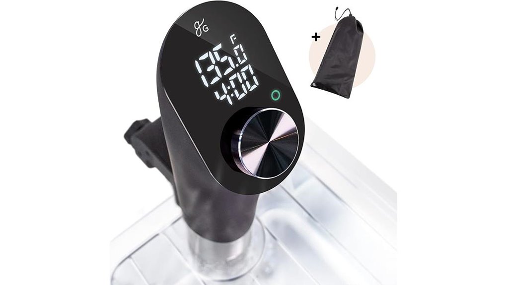 immersion sous vide precision cooker