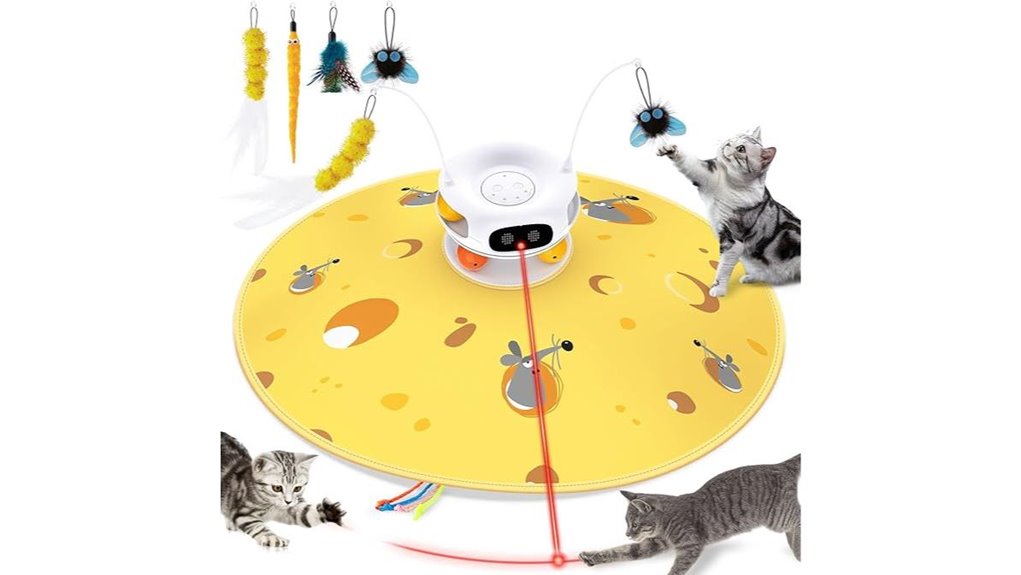 interactive 5 in 1 hide and seek cattoy