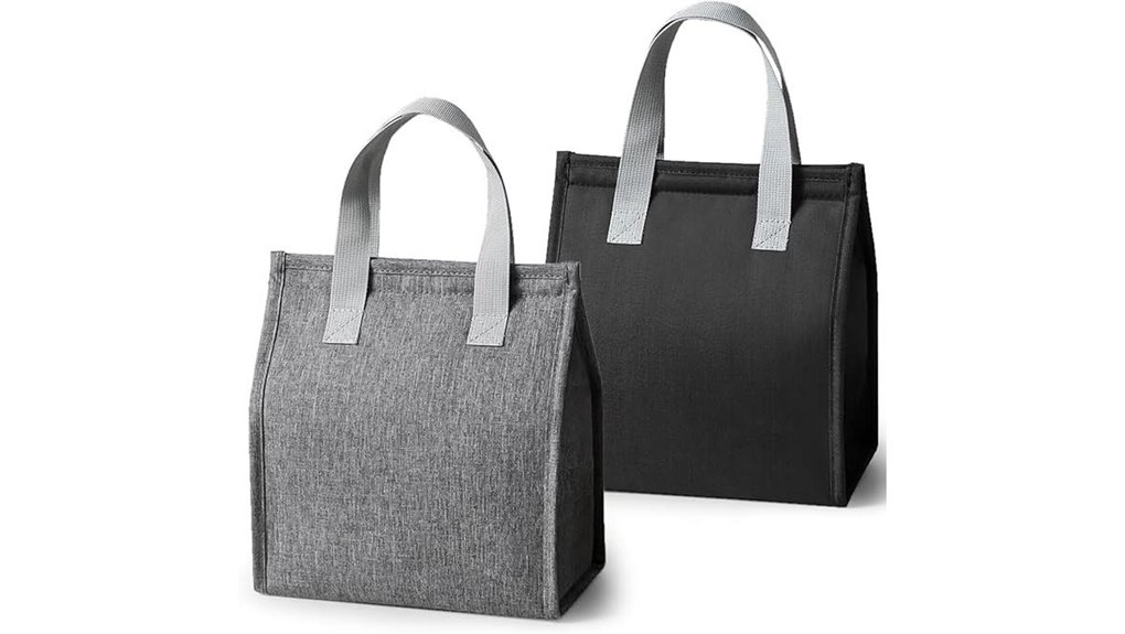 large insulated leakproof lunchbag