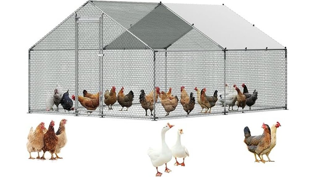 large walk in metal chicken enclosure