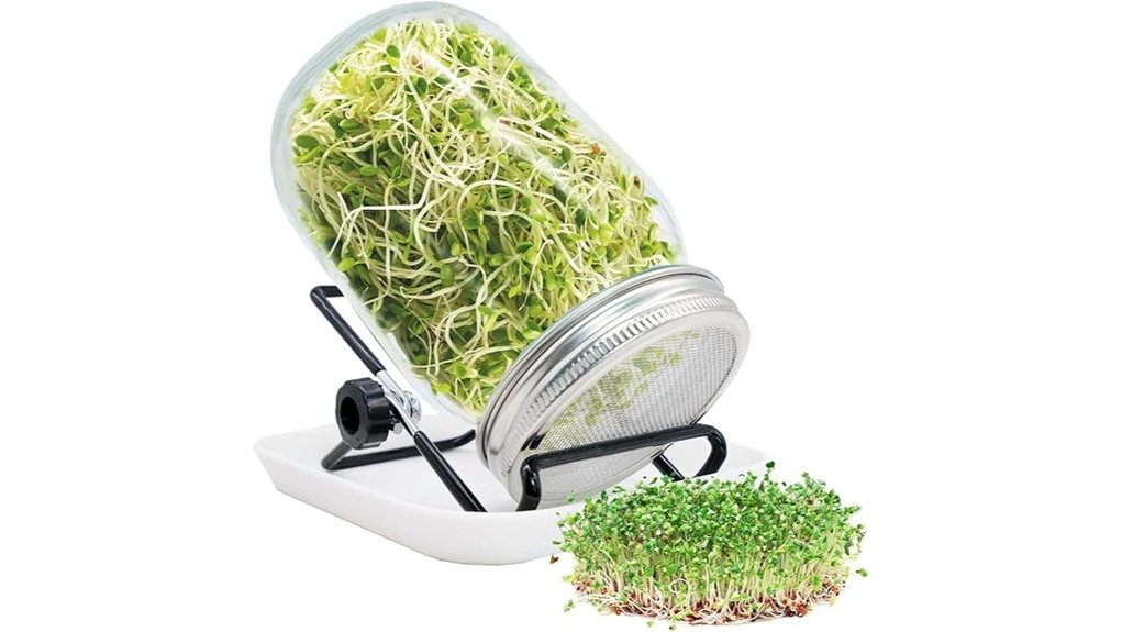 mason jar bean sprouter