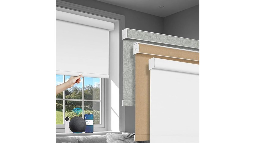 motorized and manual roller blinds