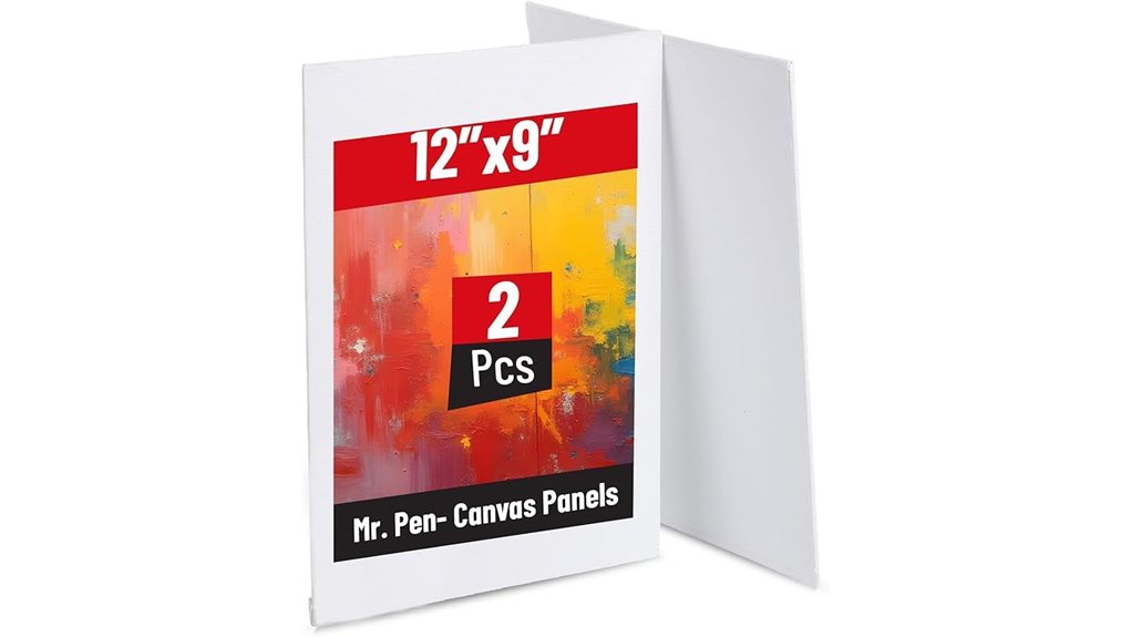 mr pen 9x12 canvas panels