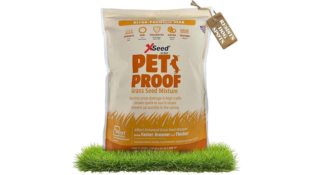 pet resistant tall fescue