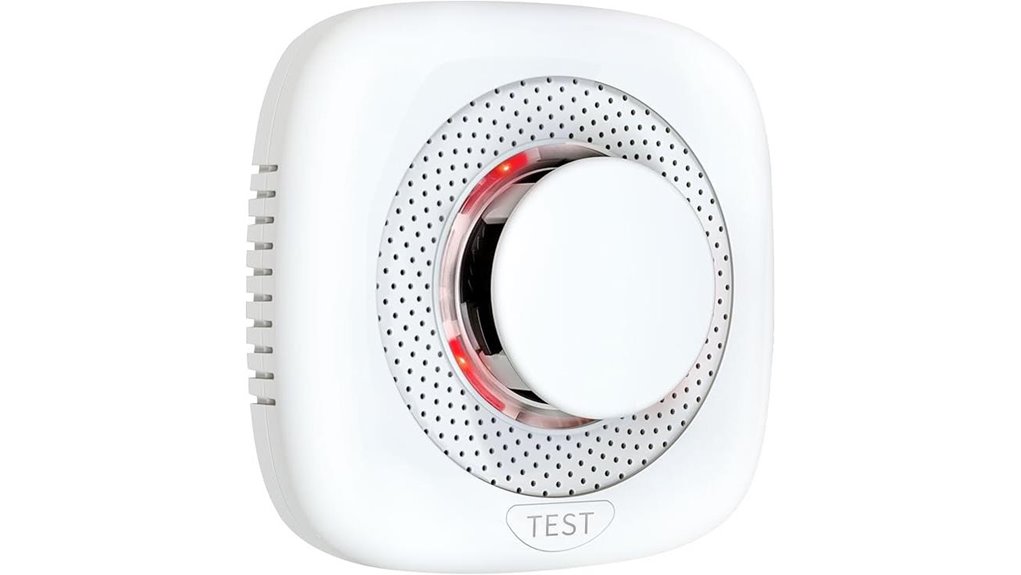 portable battery powered smoke detector