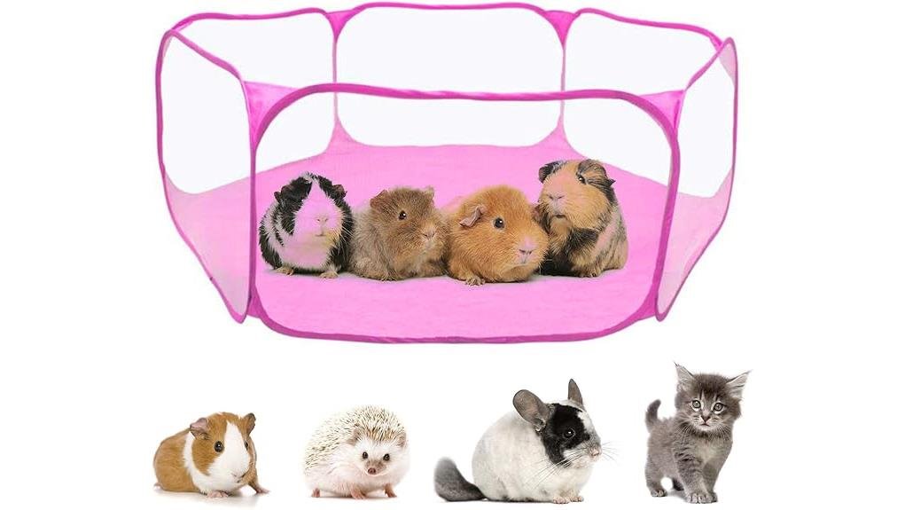 portable transparent guinea pig playpen