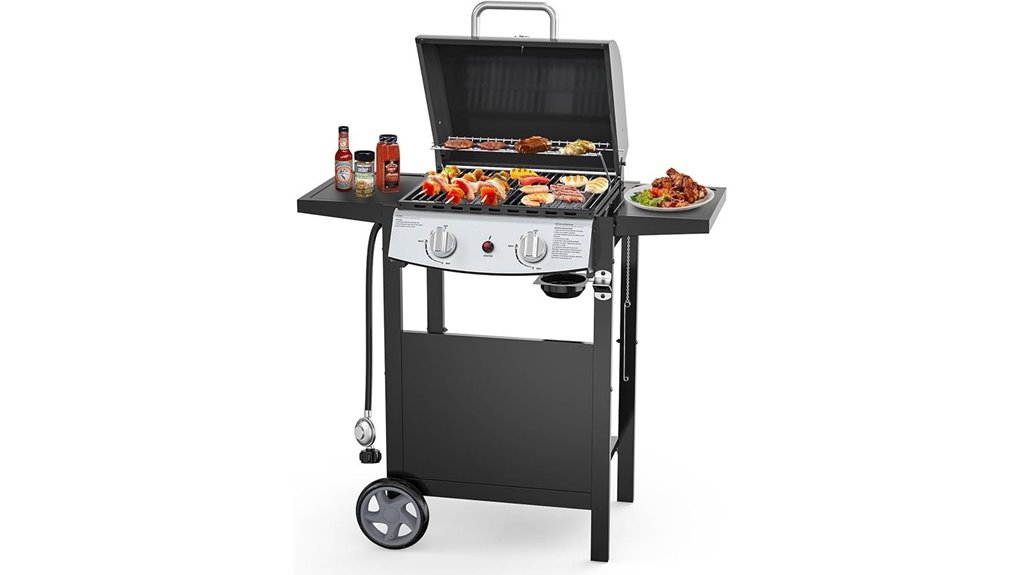 portable two burner stainless propane grill