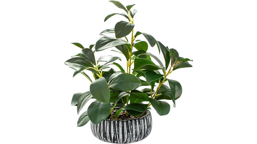 rustic black clay succulent planter