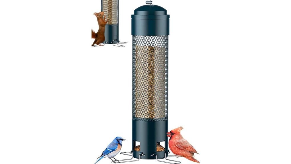 squirrel proof 3lb metal feeder