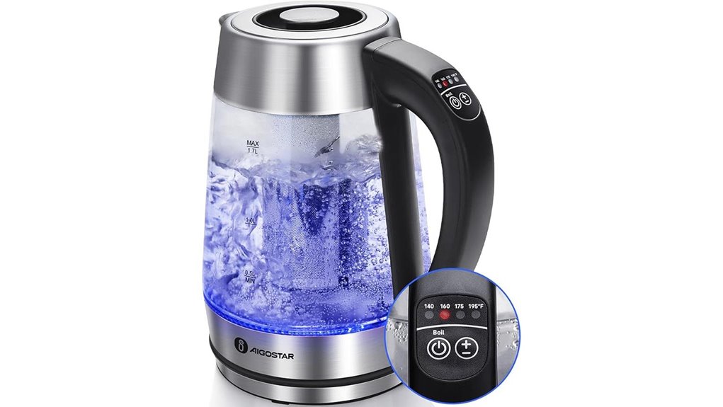 temperature controlled electric tea kettle