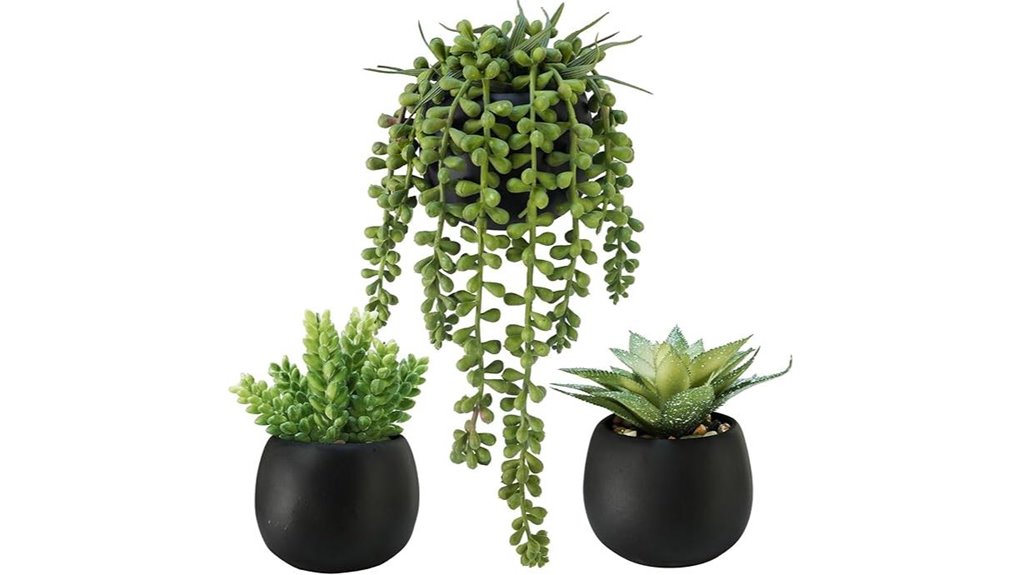 three cement succulent planter set
