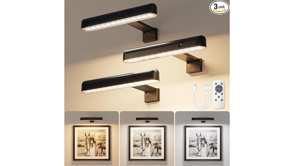 three pack rechargeable cordless picturelights