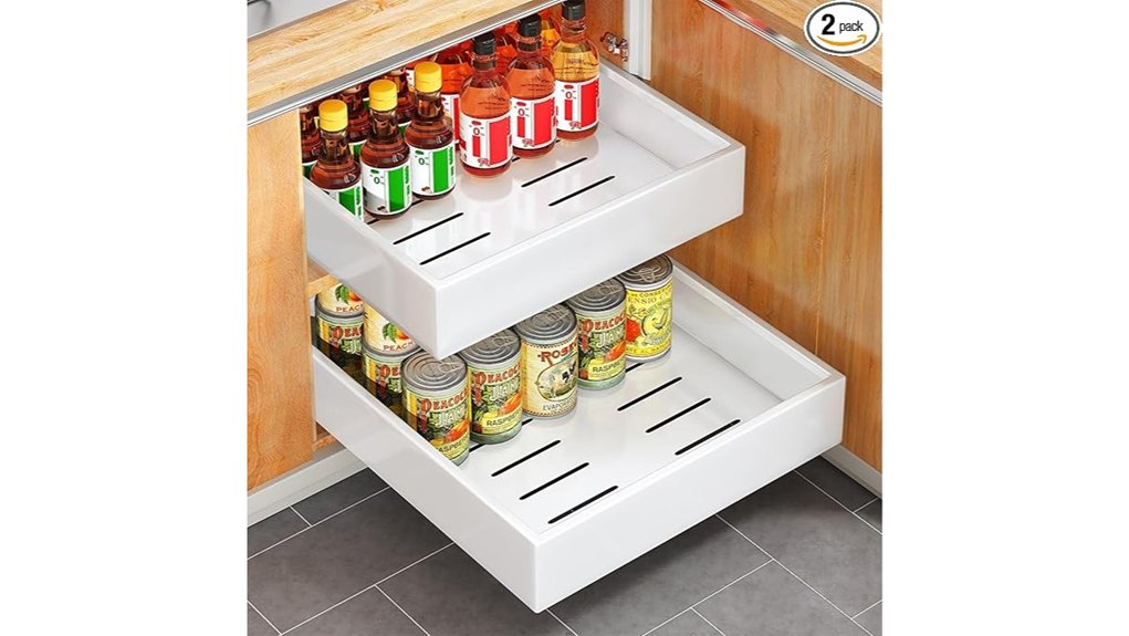 two 21 pull out organizers