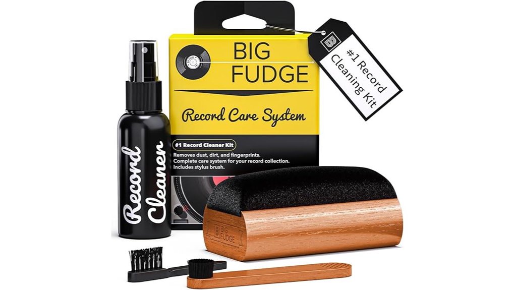 vinyl record cleaning kit