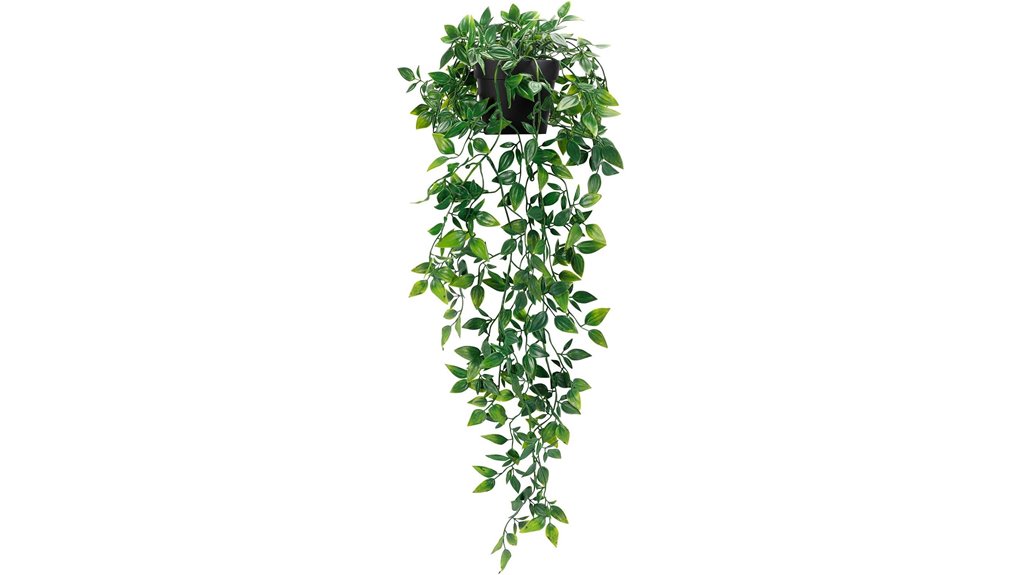 whonline hanging potted plant