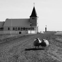 island agriculture and crofting