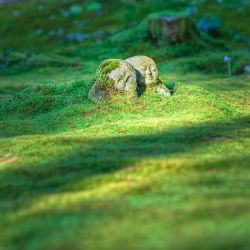 exploring islay s historical legacy