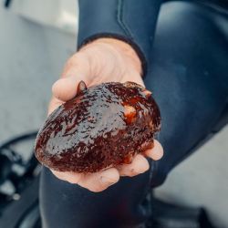 island made artisanal chocolate delights